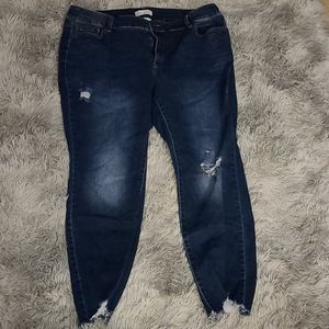 Lane Bryant jeans